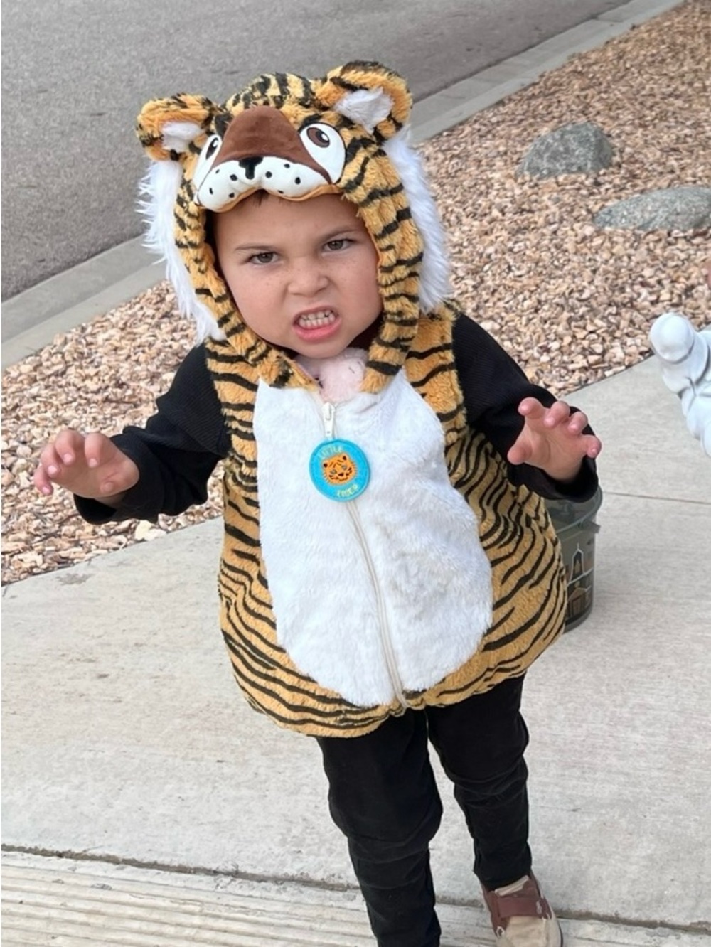 Tiger Plush Hooded Kids Costume - Yellow/Black